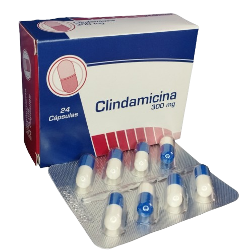 CLINDAMICINA 300MG CAJA*24 CAP