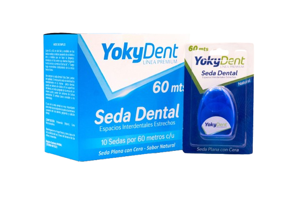 SEDA DENTAL AZUL*60 MTS