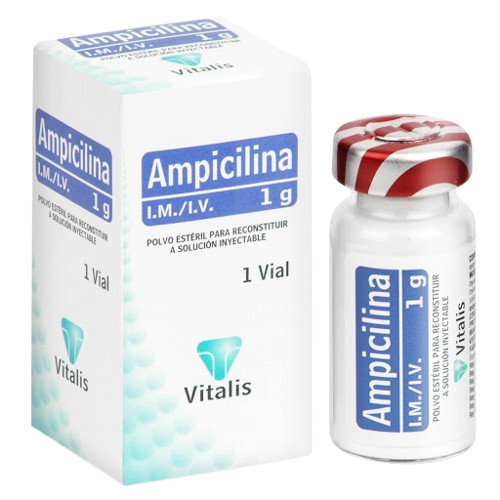 AMPICILINA 1G 1 Vial Amp