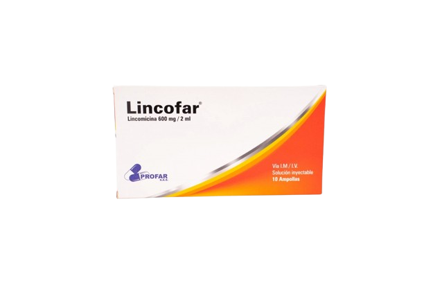 LINCOFAR (LINCOMICINA) CJ*10 INY