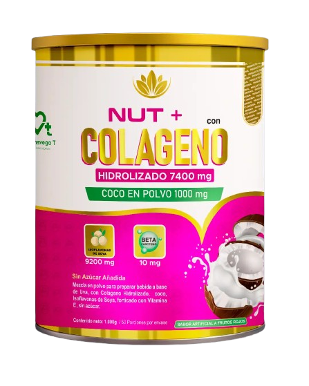 COLAGENO HIDROLIZADO *1000 GR SABOR FRUTOS ROJOS